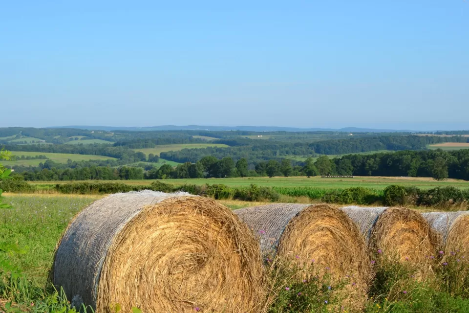 A bale if hay is rolled up in an expansive agricultural landscape.